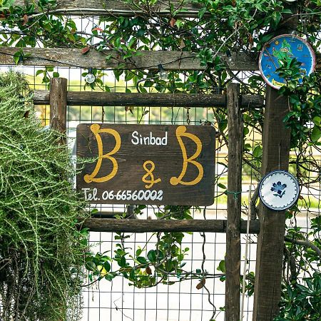 B&B Sinbad La Scialuppa Fregenae Eksteriør bilde
